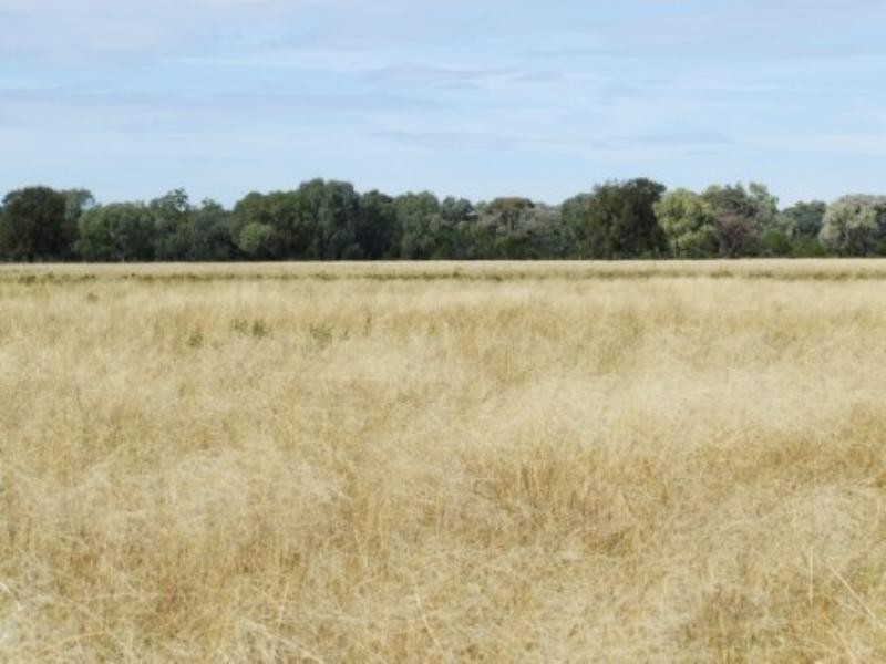 “Tharlane” 84 Tharlane Road, Wee Waa NSW 2388