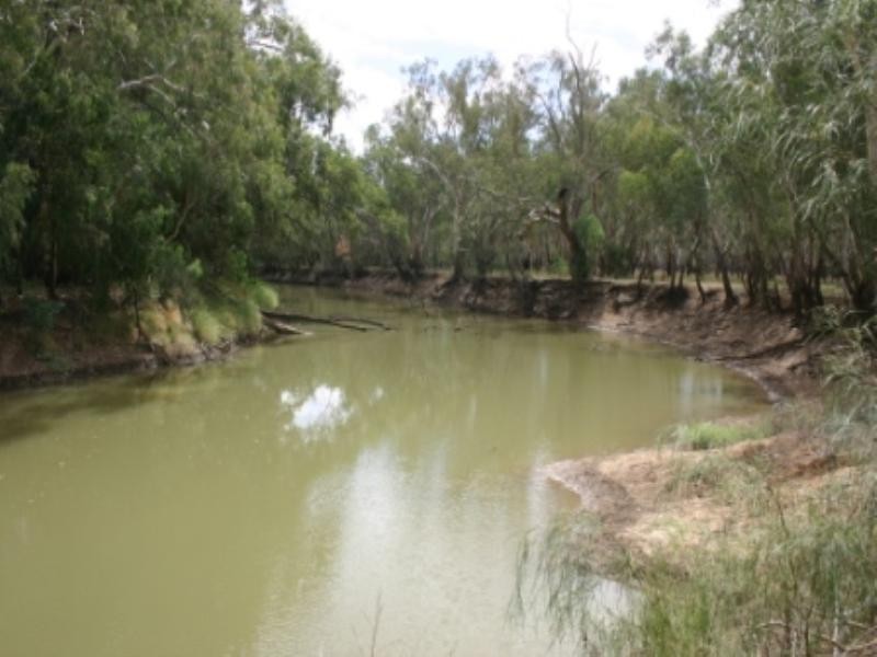 “Jedburgh” and “Drungalear”, Warren NSW 2824
