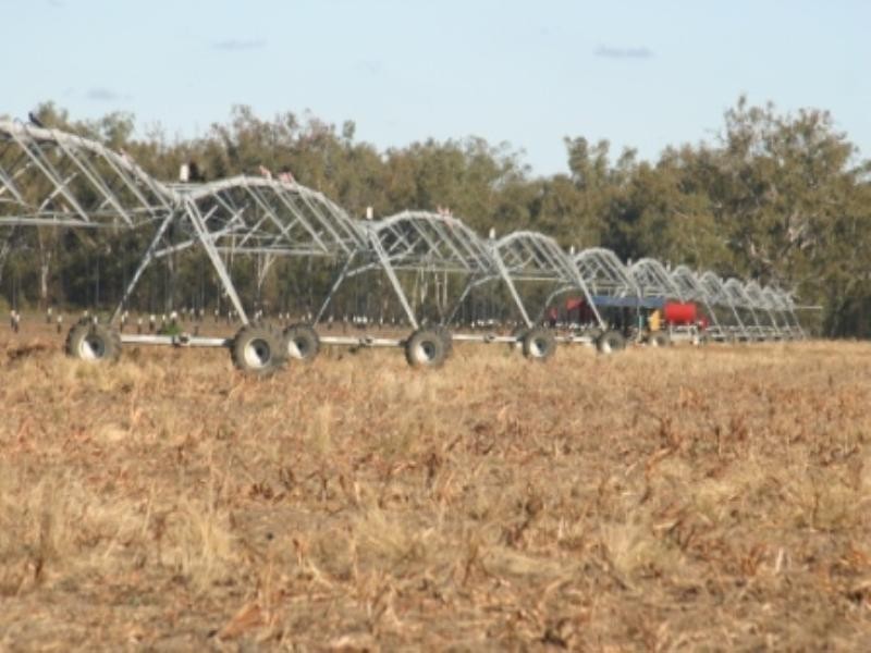 “Jedburgh” and “Drungalear”, Warren NSW 2824
