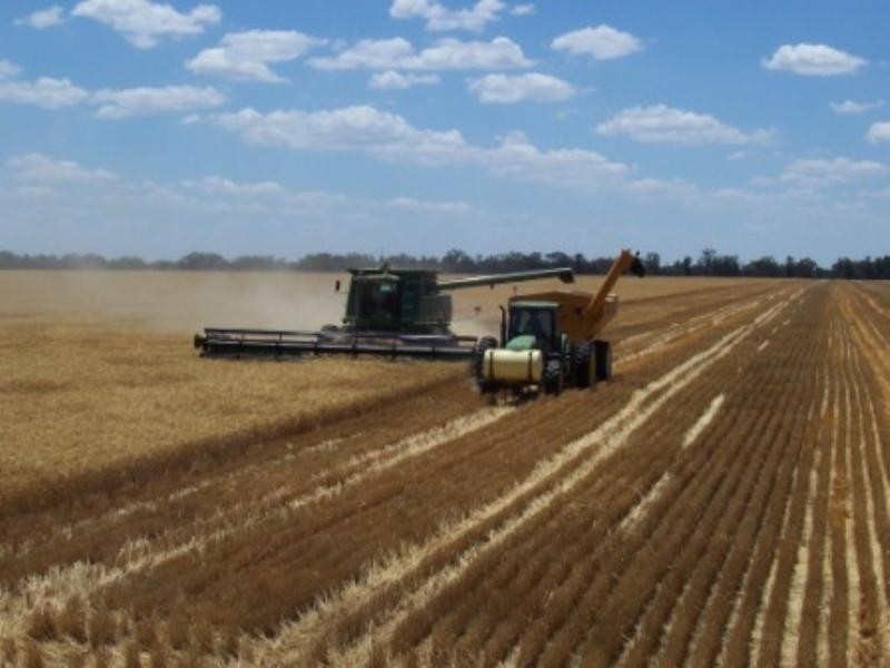 “Jedburgh” and “Drungalear”, Warren NSW 2824