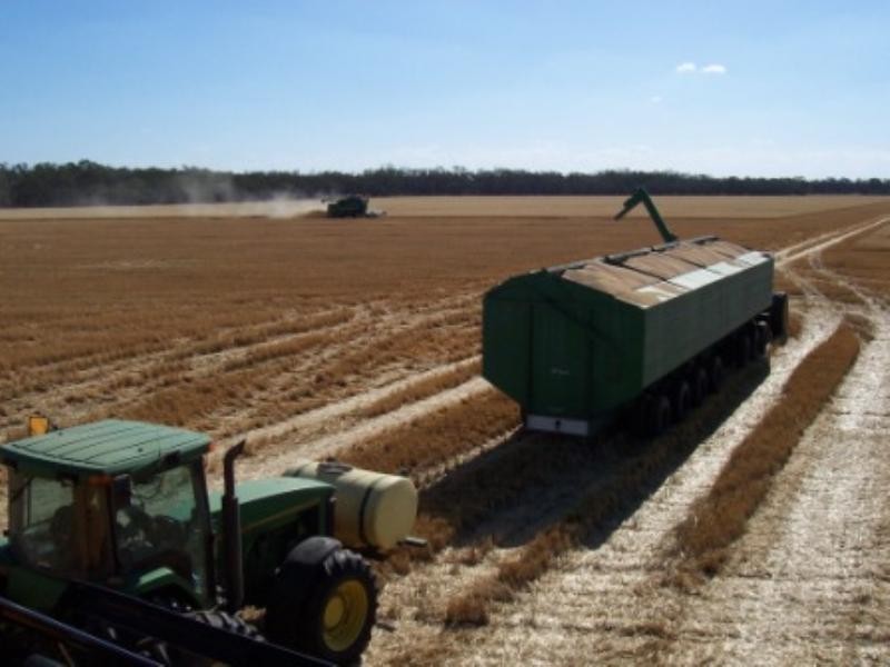 “Jedburgh” and “Drungalear”, Warren NSW 2824