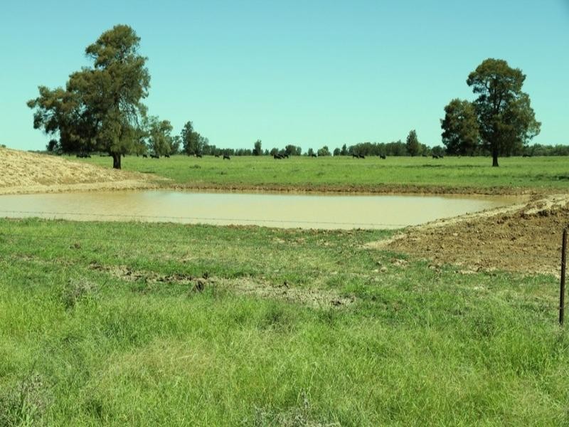 ‘Dalwood’ Stumpy Lane, Wee Waa NSW 2388