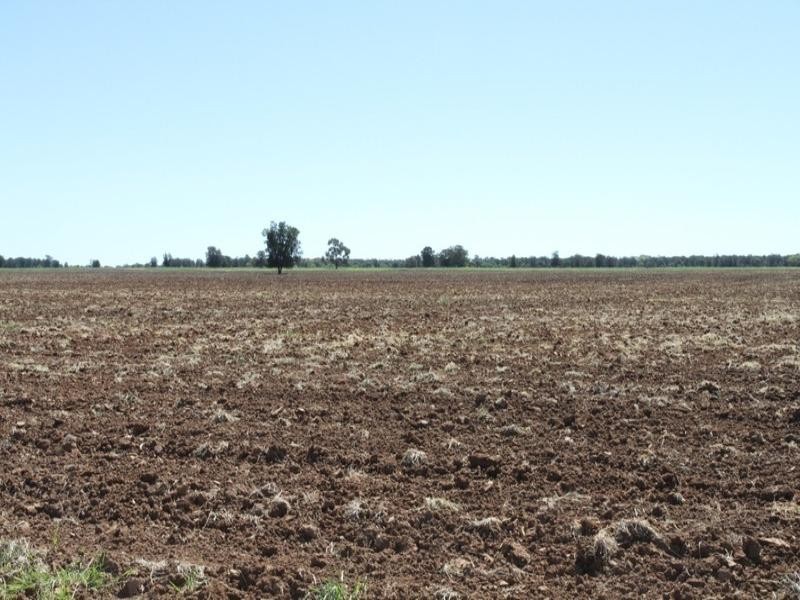 ‘Dalwood’ Stumpy Lane, Wee Waa NSW 2388