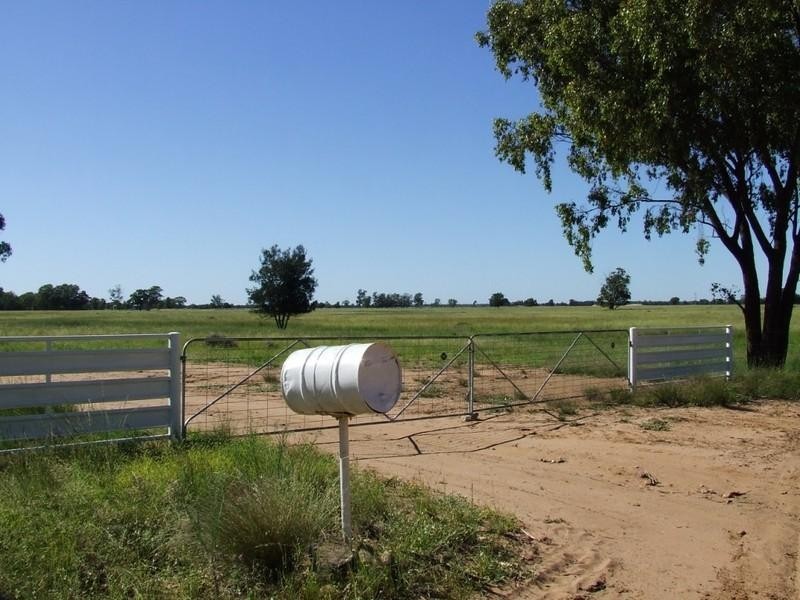 ‘Dalwood’ Stumpy Lane, Wee Waa NSW 2388