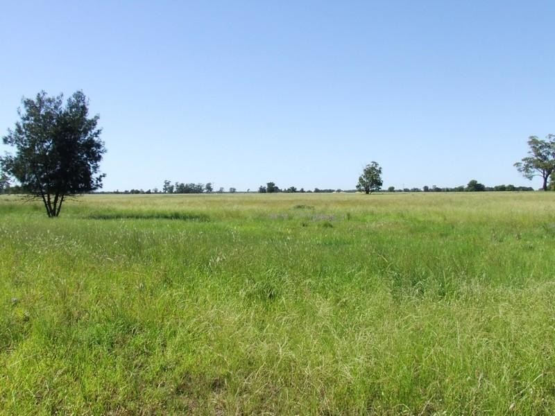 ‘Dalwood’ Stumpy Lane, Wee Waa NSW 2388