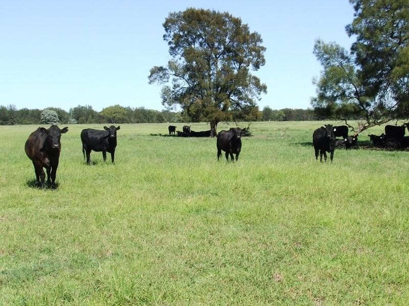 ‘Dalwood’ Stumpy Lane, Wee Waa NSW 2388