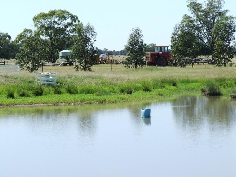 ‘Dalwood’ Stumpy Lane, Wee Waa NSW 2388