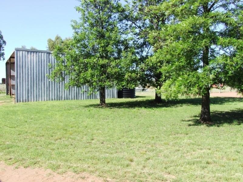 ‘Dalwood’ Stumpy Lane, Wee Waa NSW 2388