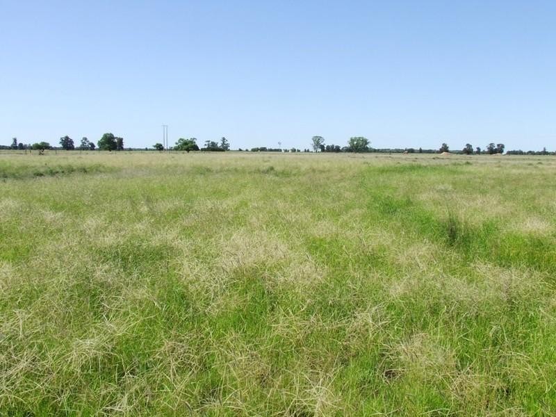 ‘Dalwood’ Stumpy Lane, Wee Waa NSW 2388