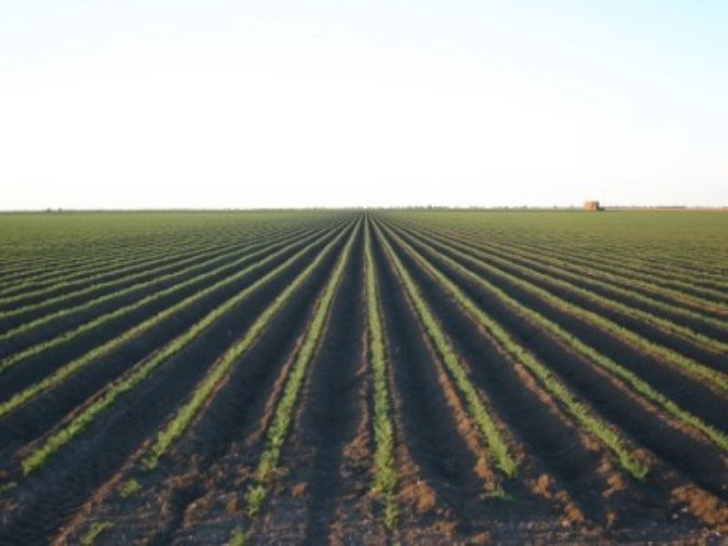 “Nithsdale” Yarraldool Road, Walgett NSW 2832