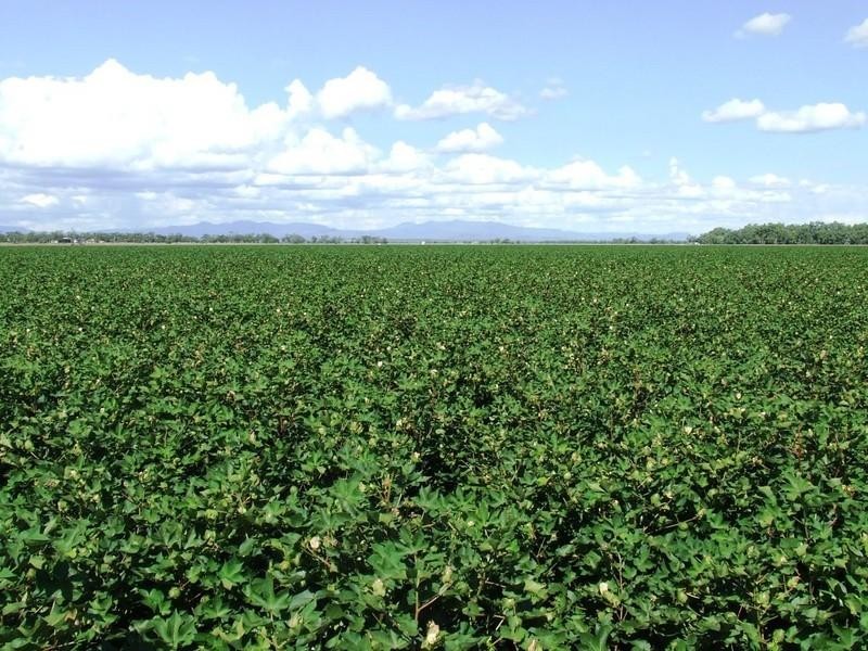 ‘Alloomba’ Kamilaroi Highway, Narrabri NSW 2390