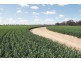 Moree NSW 2400