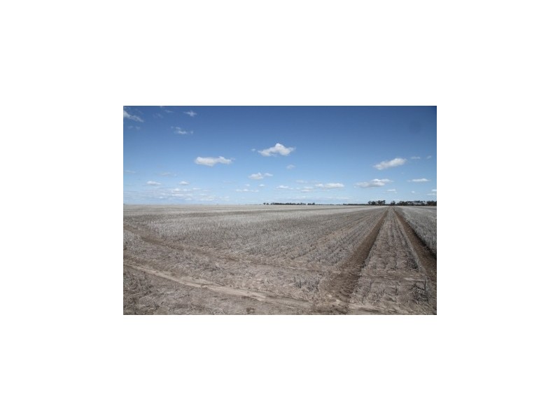 Moree NSW 2400