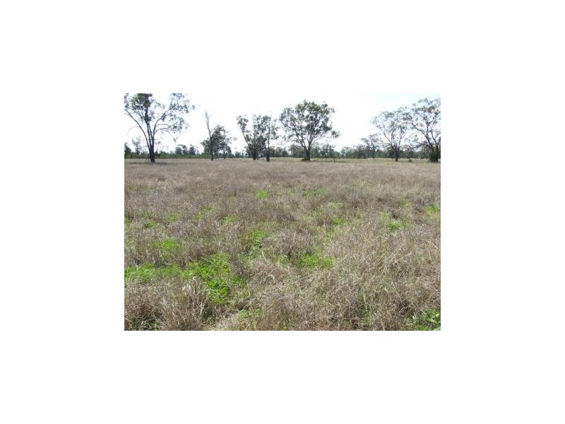 Moree NSW 2400