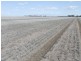 Moree NSW 2400