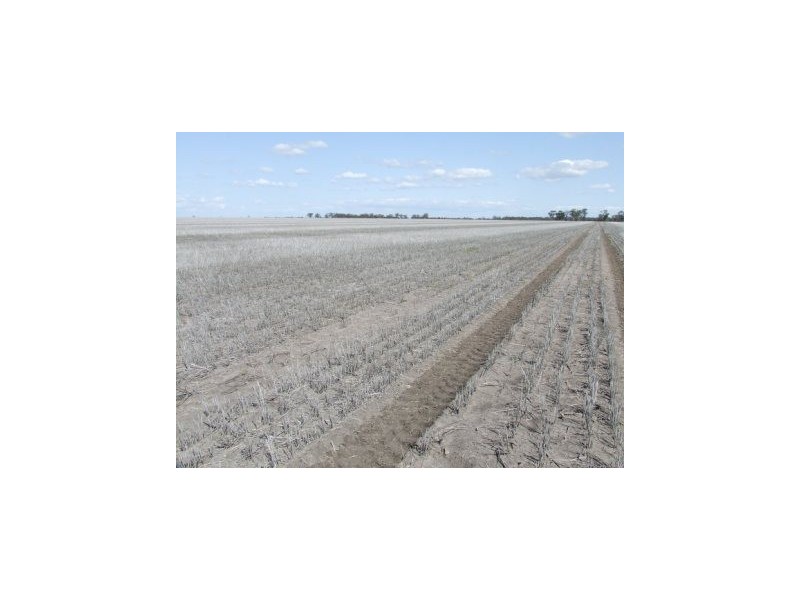 Moree NSW 2400