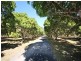 Mareeba QLD 4880