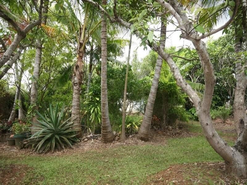Biboohra QLD 4880