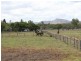 Mutchilba QLD 4872
