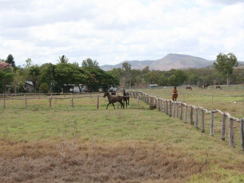 Mutchilba QLD 4872