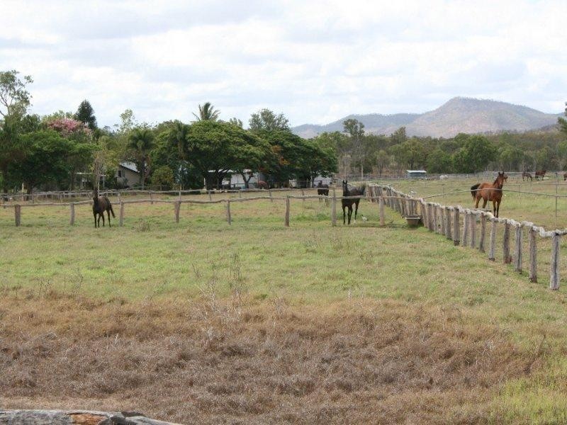 Mutchilba QLD 4872