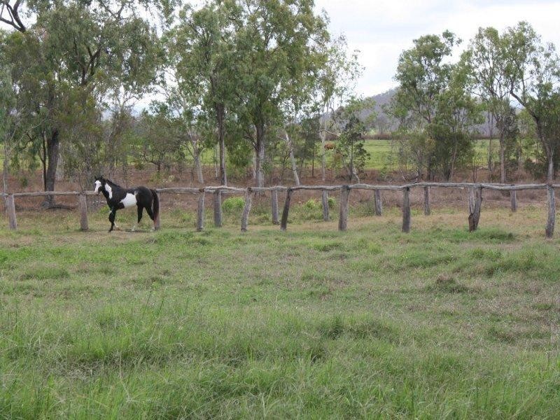 Mutchilba QLD 4872