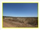 Dimbulah QLD 4872