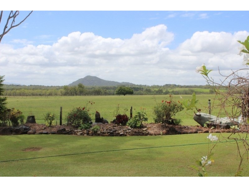 Walkamin QLD 4872
