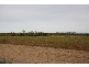 Biboohra QLD 4880