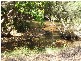 Biboohra QLD 4880