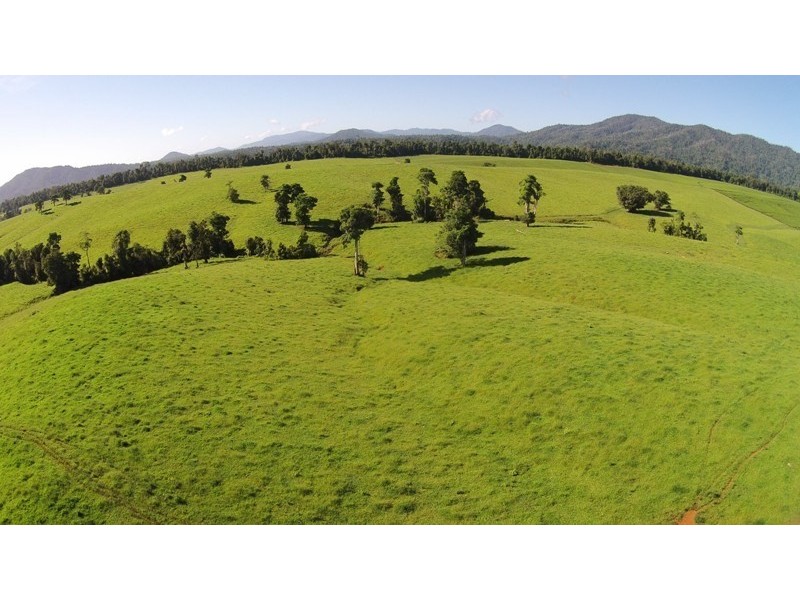 East Palmerston QLD 4860