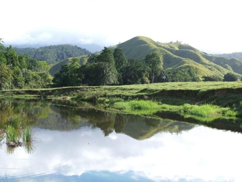 Daintree QLD 4873