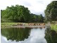 Daintree QLD 4873