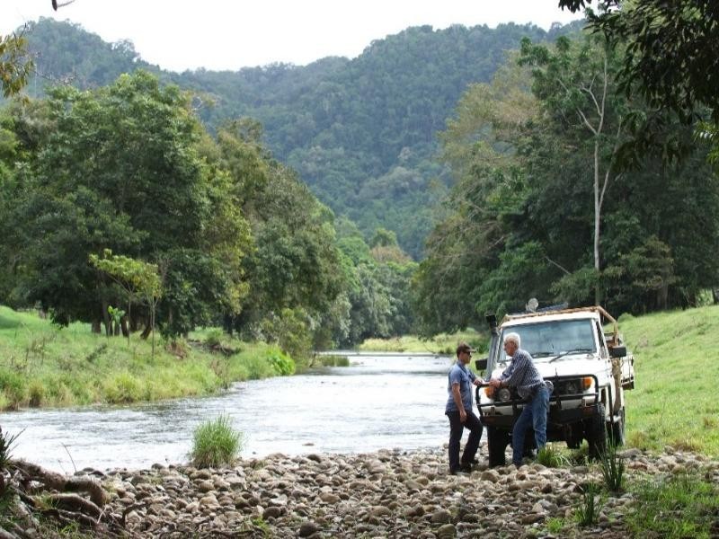 Daintree QLD 4873