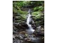 Daintree QLD 4873
