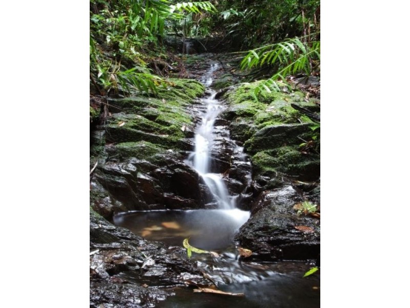 Daintree QLD 4873
