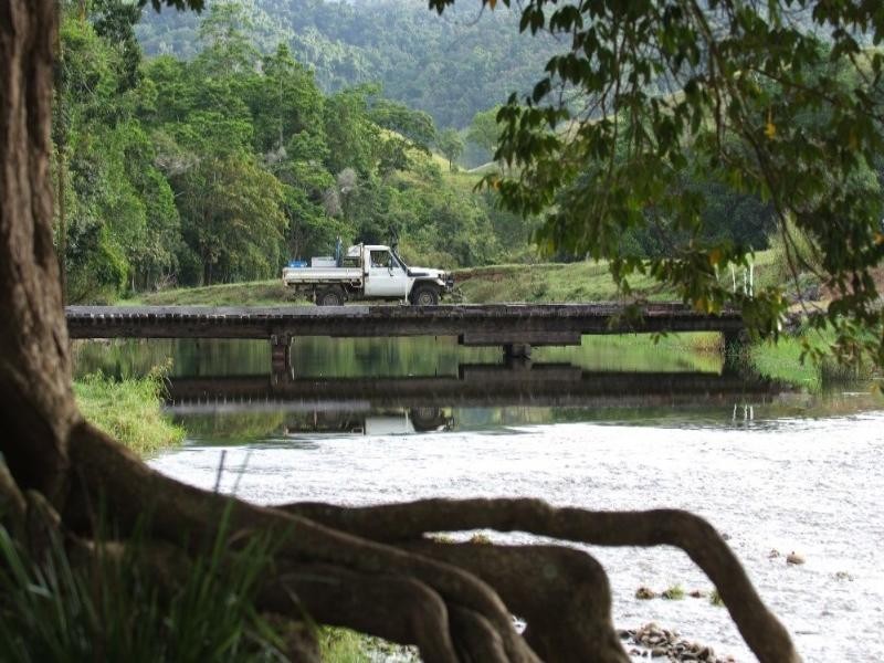 Daintree QLD 4873