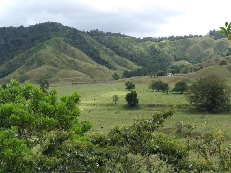 Daintree QLD 4873