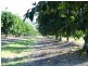 Mutchilba QLD 4872