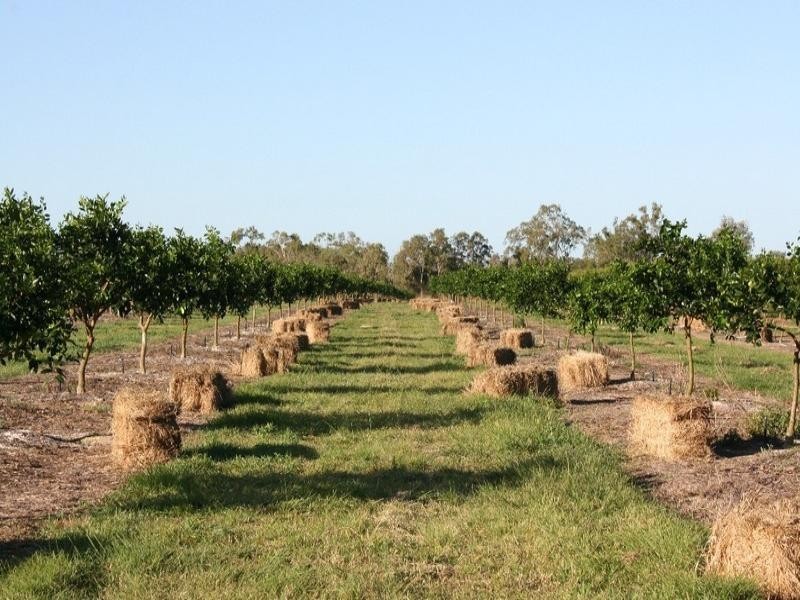 Mutchilba QLD 4872