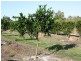 Mutchilba QLD 4872