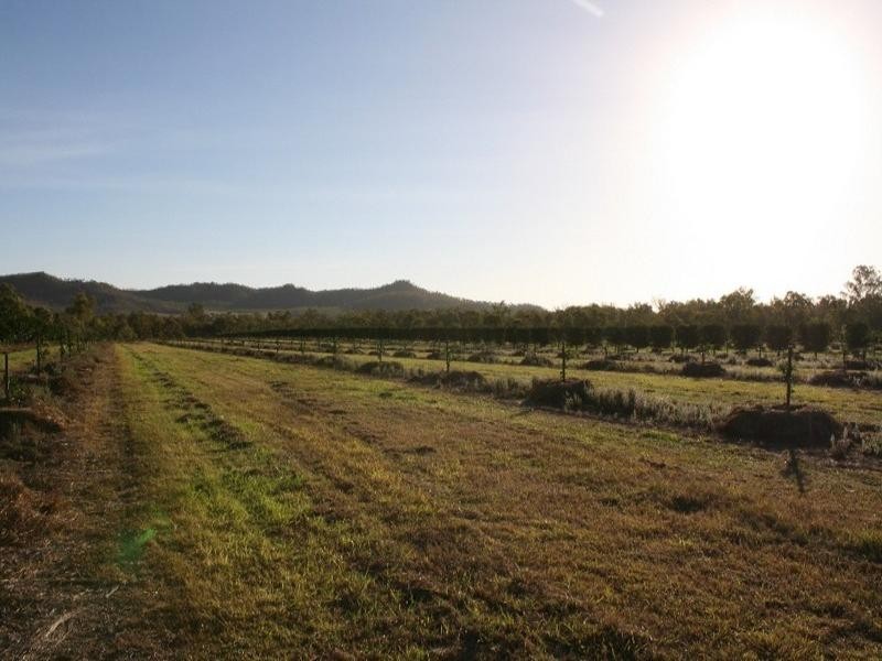 Mutchilba QLD 4872