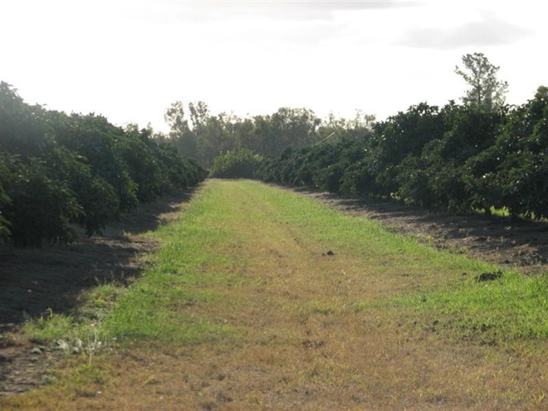 Mareeba QLD 4880