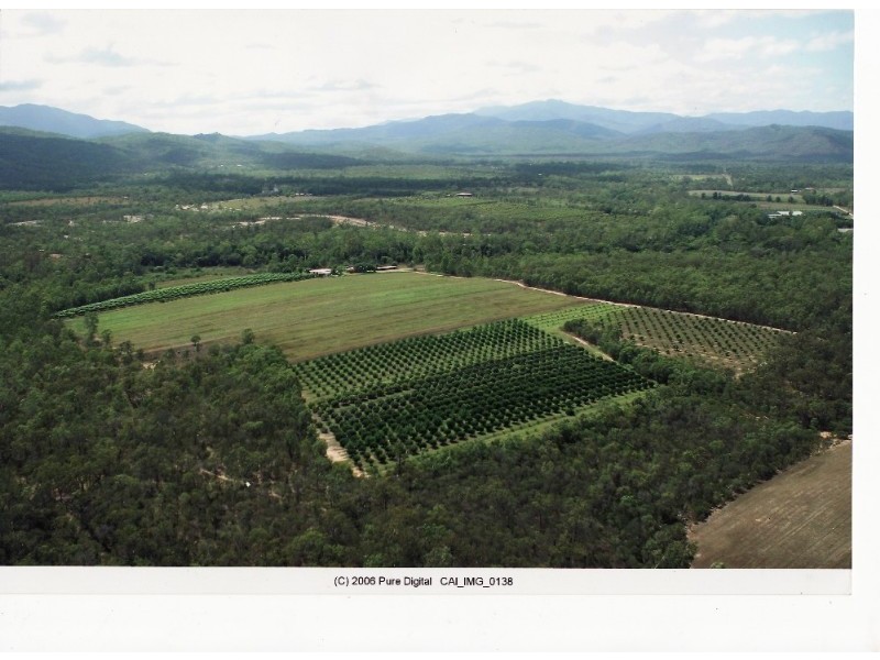 Koah QLD 4881