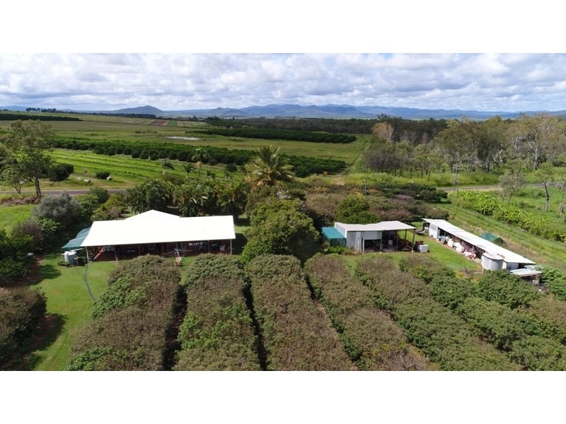 Mareeba QLD 4880
