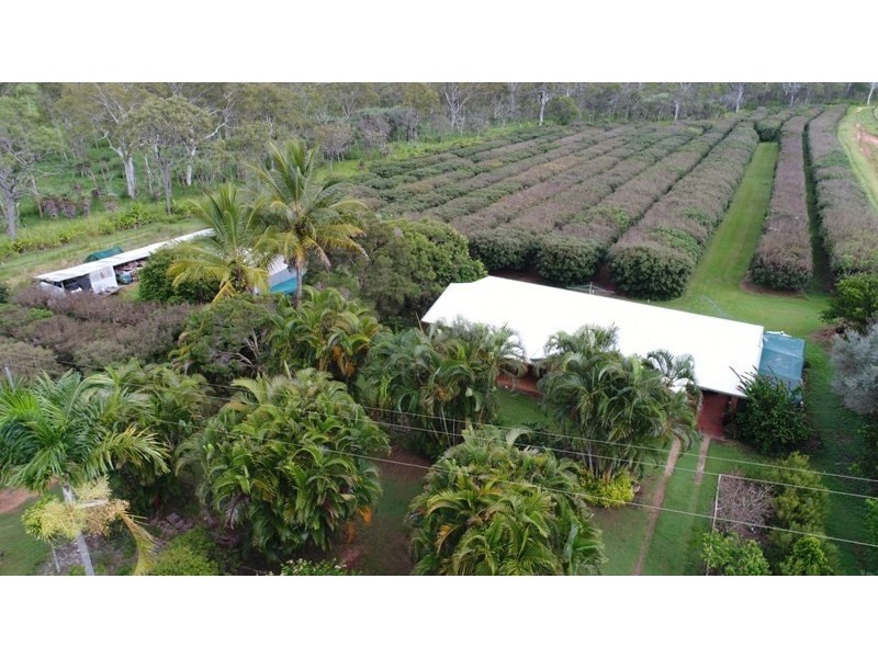 Mareeba QLD 4880