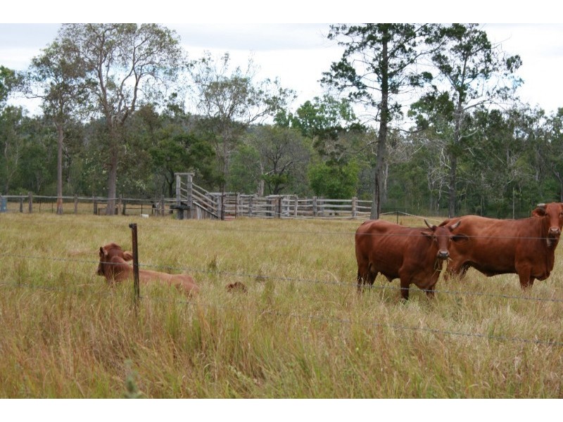 Biboohra QLD 4880