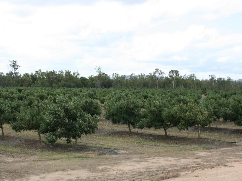 Dimbulah QLD 4872