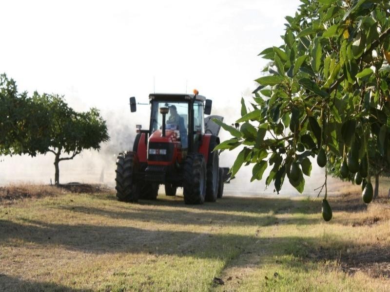 Dimbulah QLD 4872