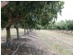 Dimbulah QLD 4872